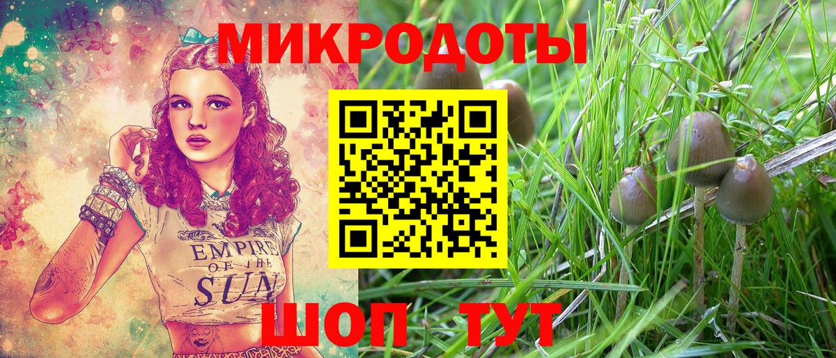 Псилоцибиновые грибы MAGIC MUSHROOMS  Вход с VPN  где найти   Клин  Псилоцибиновые грибы мицелий 