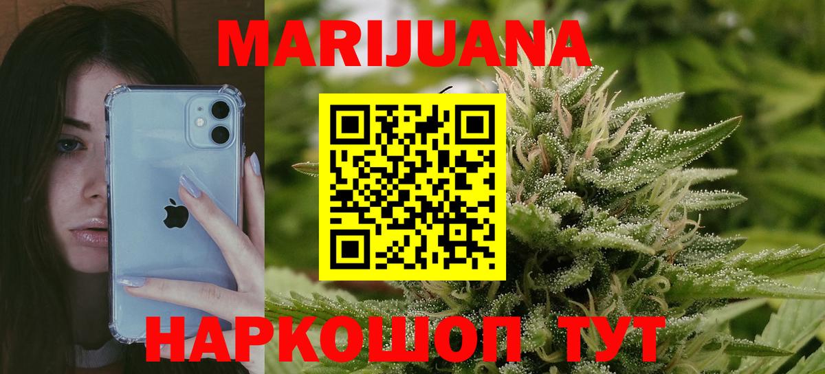 Каннабис сатива  Конопля марихуана  Каннабис планчик  Клин  Вход с VPN 