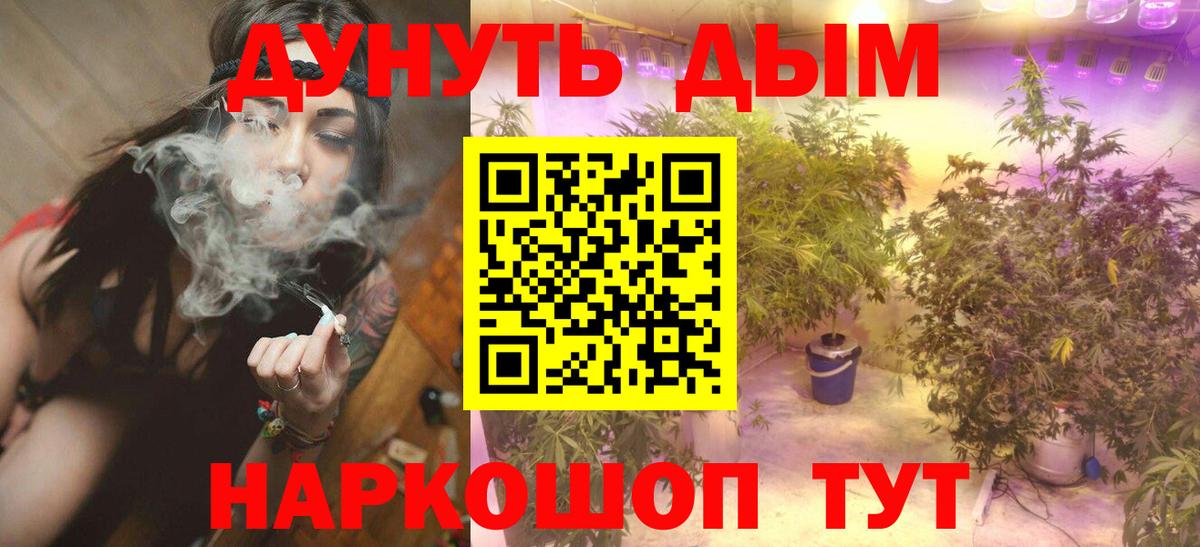Шишки марихуана Amnesia Клин